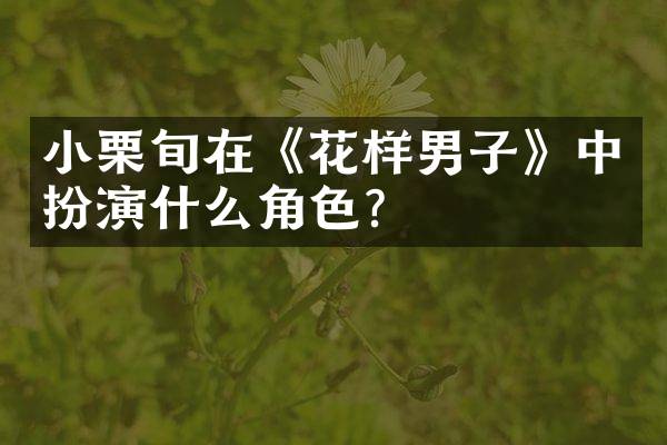 小栗旬在《花样男子》中扮演什么角色？