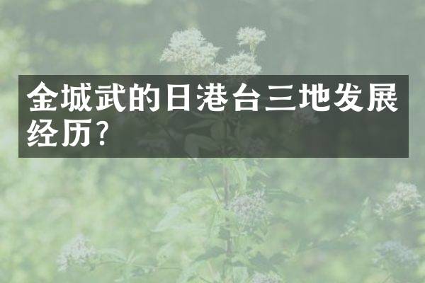 金城武的日港台三地发展经历？