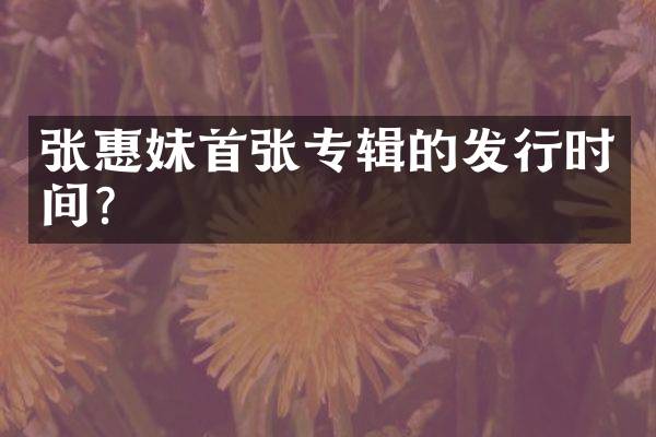 张惠妹首张专辑的发行时间?