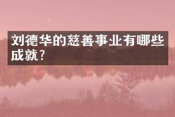 刘德华的慈善事业有哪些成就?