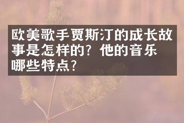 欧美歌手贾斯汀的成长故事是怎样的？他的音乐有哪些特点？