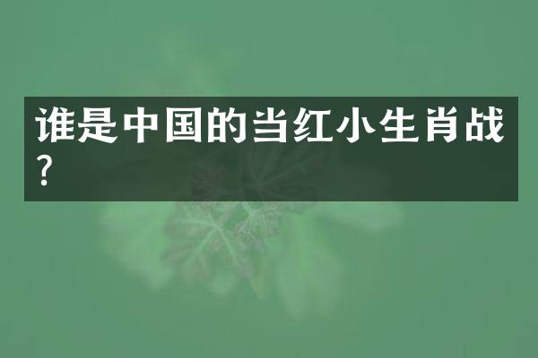 谁是中国的当红小生肖战？