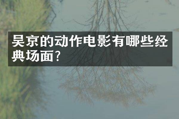 吴京的动作电影有哪些经典场面？