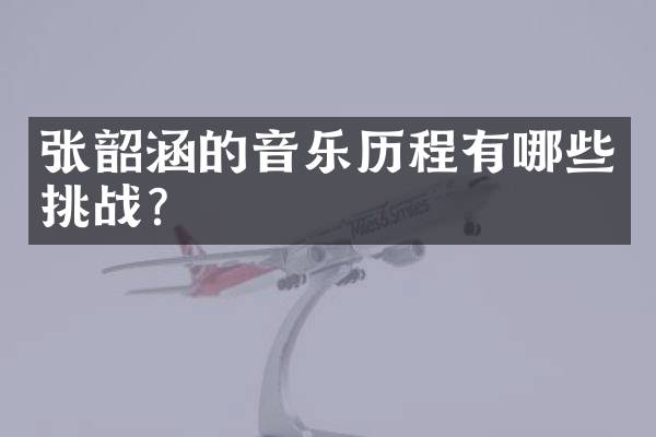 张韶涵的音乐历程有哪些挑战？