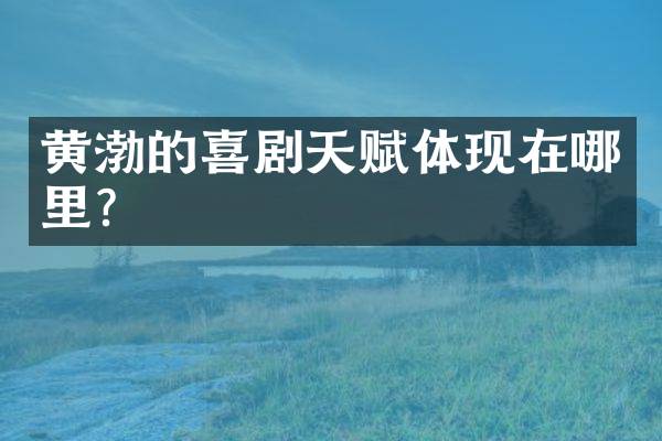 黄渤的喜剧天赋体现在哪里？