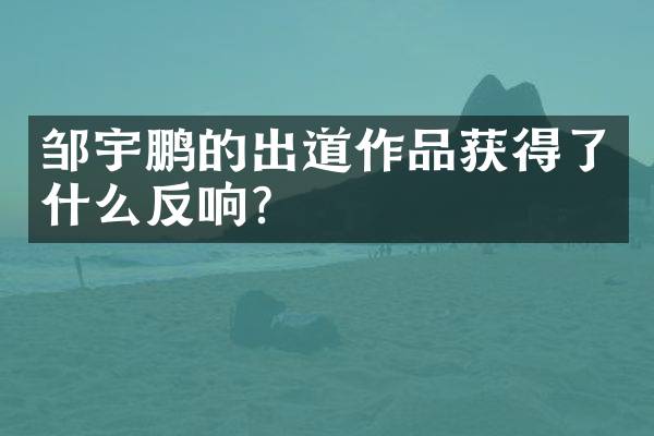 邹宇鹏的出道作品获得了什么反响？