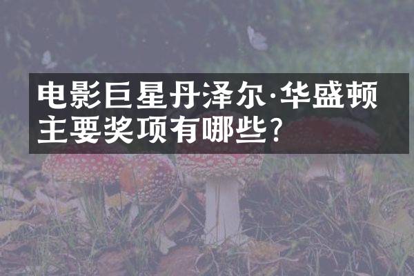 电影巨星丹泽尔·华盛顿的主要奖项有哪些？