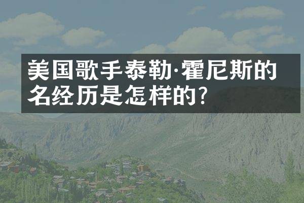 美国歌手泰勒·霍尼斯的成名经历是怎样的？