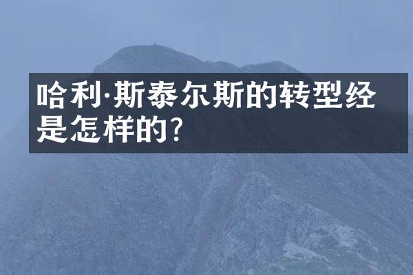 哈利·斯泰尔斯的转型经历是怎样的？