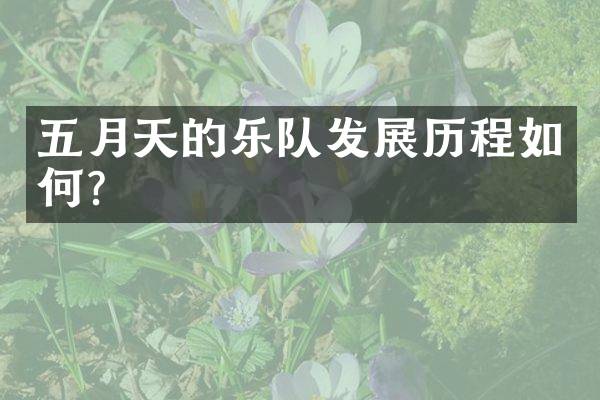 五月天的乐队发展历程如何？