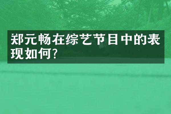 郑元畅在综艺节目中的表现如何？