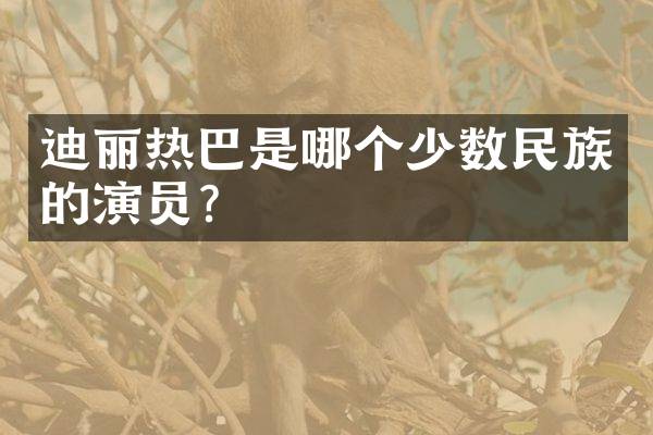 迪丽热巴是哪个少数民族的演员？