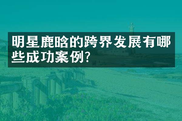 明星鹿晗的跨界发展有哪些成功案例？