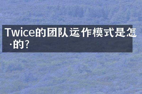 Twice的团队运作模式是怎样的?