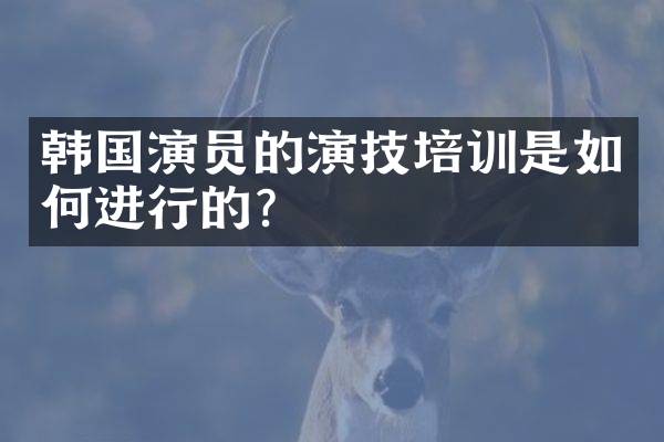 韩国演员的演技培训是如何进行的?