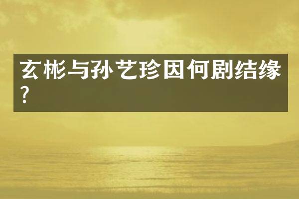 玄彬与孙艺珍因何剧结缘？