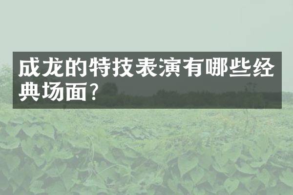 成龙的特技表演有哪些经典场面？
