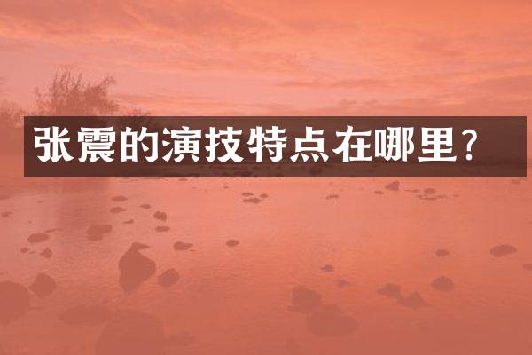 的演技特点在哪里？