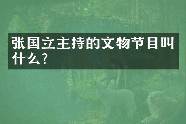 张国立主持的文物节目叫什么？
