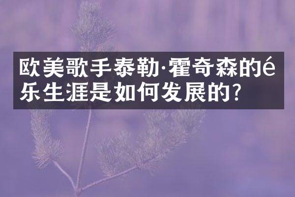 欧美歌手泰勒·霍奇森的音乐生涯是如何发展的？
