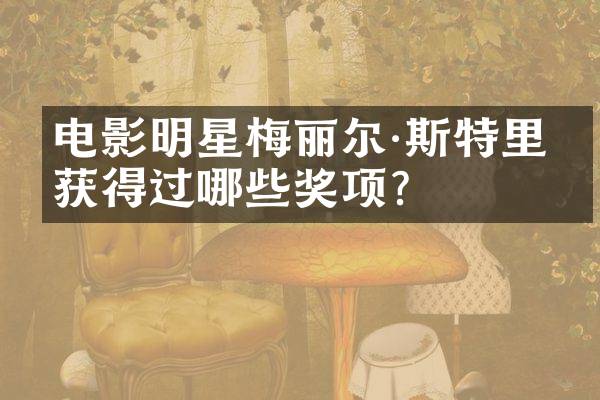 电影明星梅丽尔·斯特里普获得过哪些奖项？