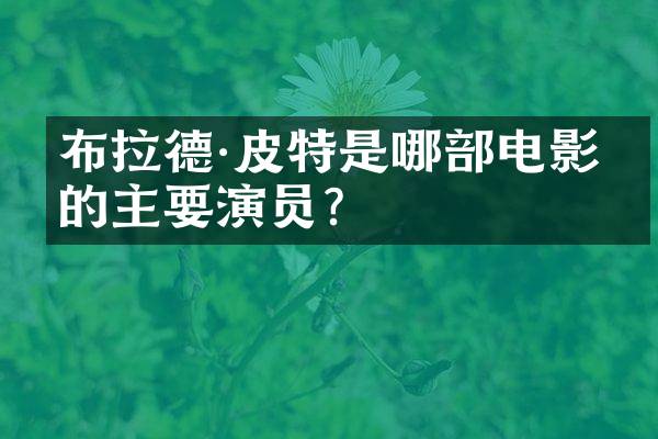 布拉德·皮特是哪部电影中的主要演员?
