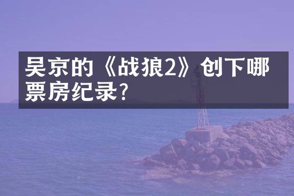 吴京的《战狼2》创下哪些票房纪录？