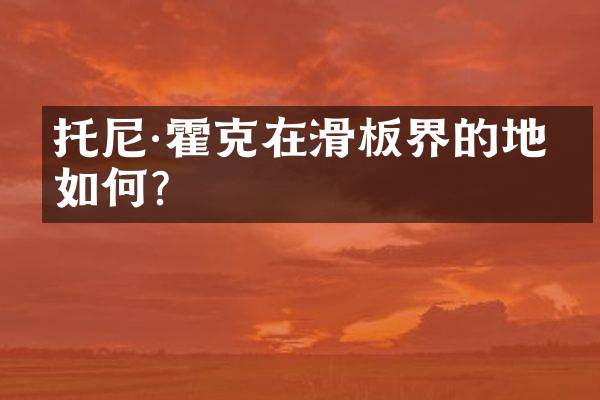 托尼·霍克在滑板界的地位如何？