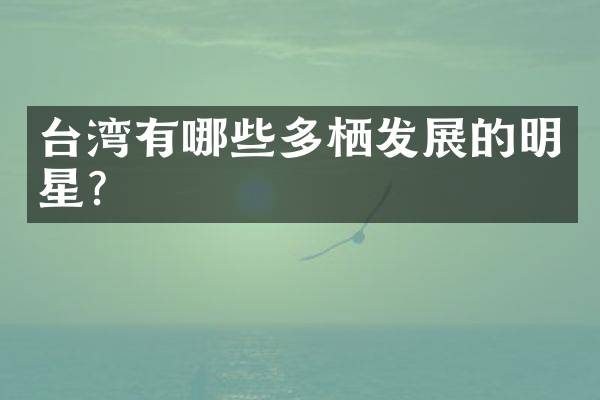 台湾有哪些多栖发展的明星？