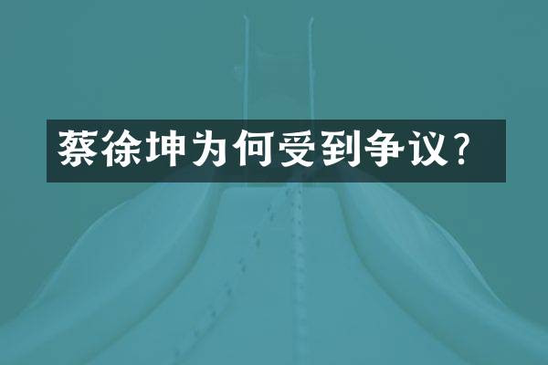 蔡徐坤为何受到争议？