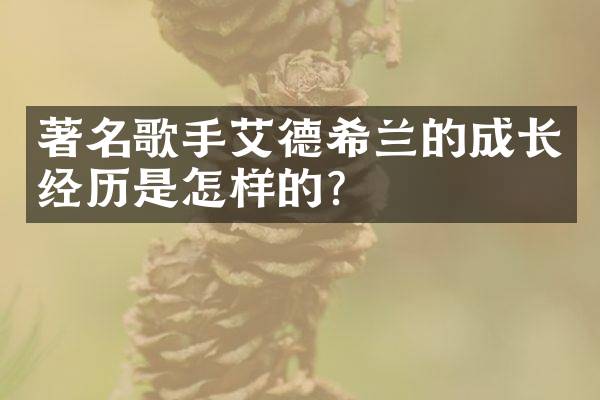 著名歌手艾德希兰的成长经历是怎样的？