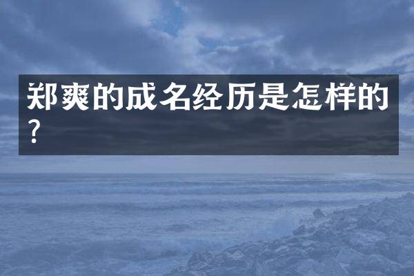 郑爽的成名经历是怎样的？