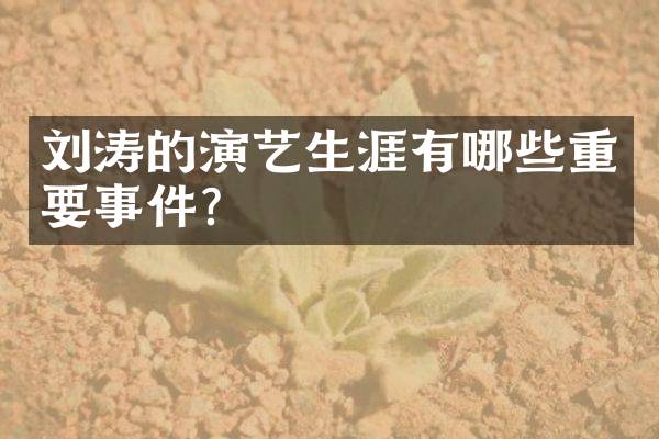 刘涛的演艺生涯有哪些重要事件？