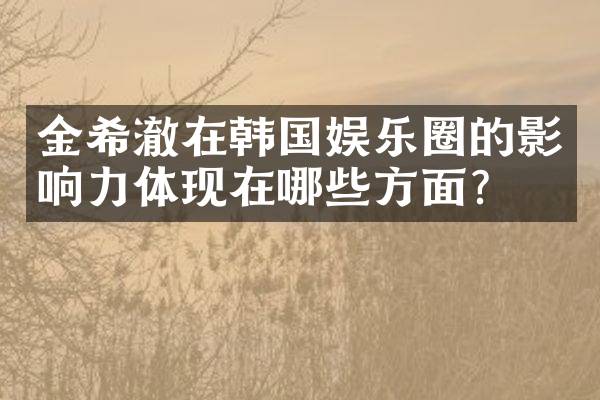 金希澈在韩国娱乐圈的影响力体现在哪些方面？