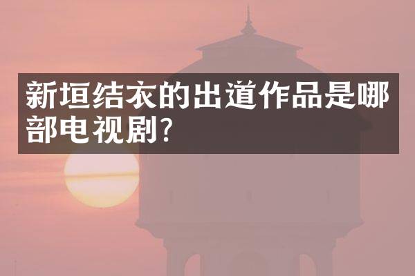 新垣结衣的出道作品是哪部电视剧？