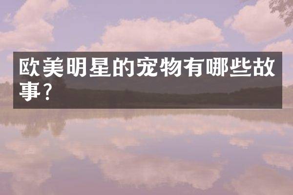 欧美明星的宠物有哪些故事？
