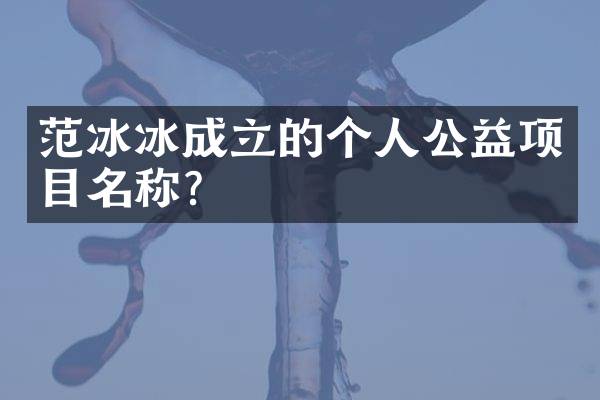 范冰冰成立的个人公益项目名称?